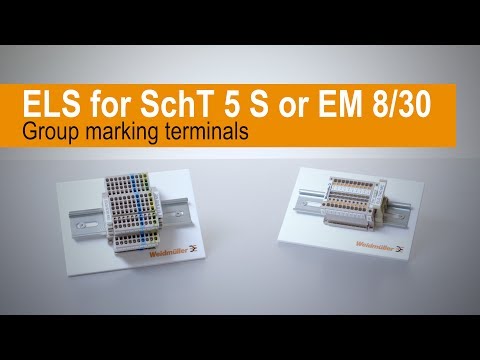 ELS EM 8/30